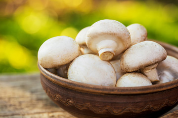 Fresh mushrooms on a wooden board on nature background