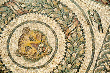 Roman mosaics