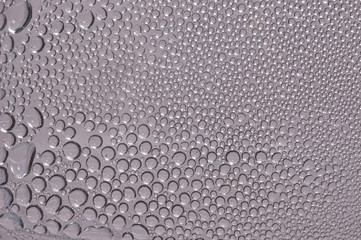 water droplets on white background