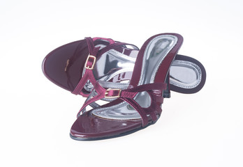 shoes. woman shoes isolated. shoes. woman shoes isolated.