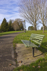 Park benches in a publec park.