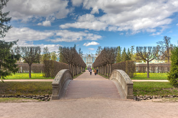 walkway in the spring park