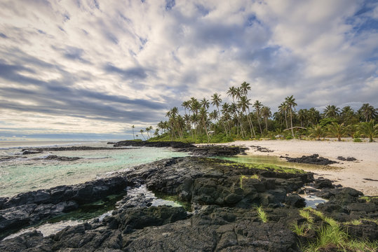 Tropical Beach