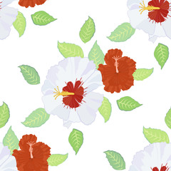 Seamless pattern with hibiscus