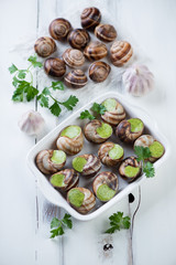 Bourguignonne snail au gratin, above view, studio shot
