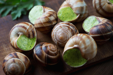 Snails with garlic butter and herbs, close-up, horizontal shot