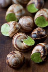 Close-up of snails with garlic butter, studio shot