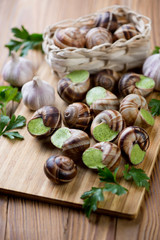 Obraz na płótnie Canvas Bourgogne snails with garlic butter, close-up