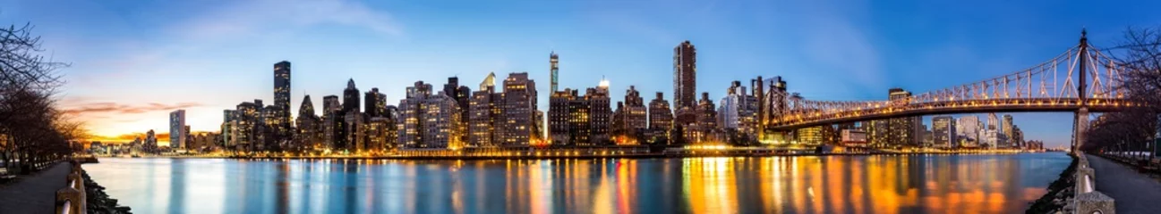 Poster Manhattan-panorama en Queensboro-brug © mandritoiu