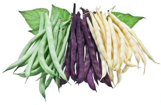 Fresh green beans isolated on a white background.
