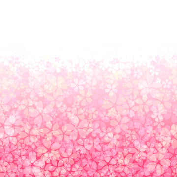 さくら背景