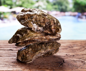 Raw oyster on wood. Sea at the background.