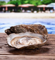Oysters on wood.