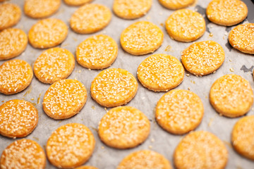 Cheese Biscuits on wooden background