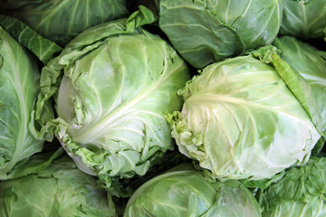 Obraz premium White cabbage