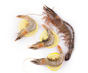 Raw tiger shrimps on white.