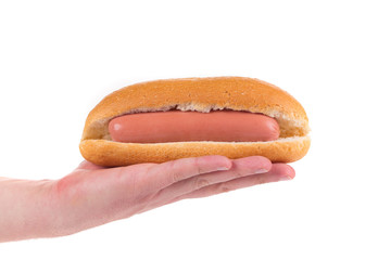 Hand holding hot dog.