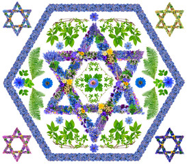 Floral isolated  David star