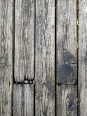 Wood texture