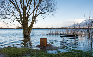 Flooded river banks in the winter season © Ruud Morijn