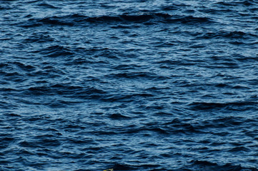 Naklejka premium Blue Water Texture