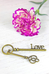 Antique keys and flower on white wooden background