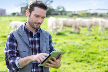 Naklejka na ściany i meble Young attractive farmer using tablet in a field