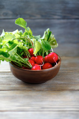 Fresh radishes in a bowl