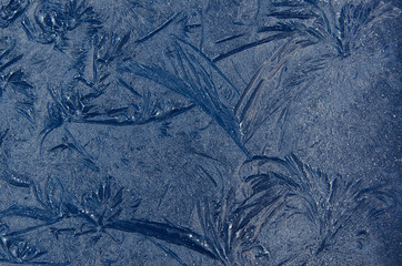 frozen texture