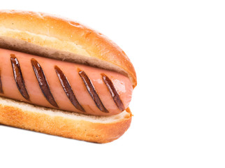 Hotdog in plain bun