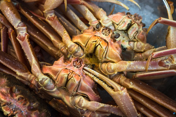 Fresh crabs at seafood market