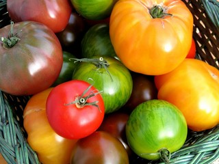 tomates