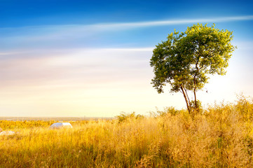 Fototapeta premium Dusk prairie