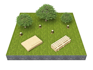 hemp trees and boards on a piece of land