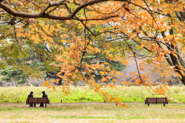 The street nearby Meiji Jingu Gaien