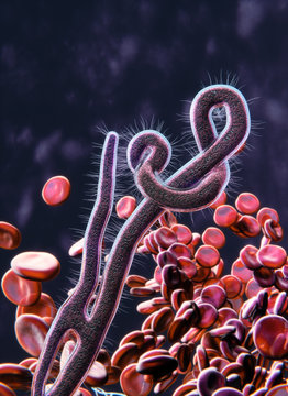 Ebola virus microscopic view concept