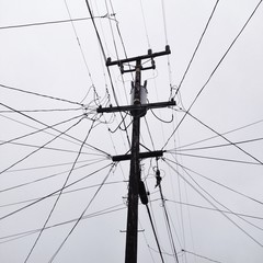 Viele Kabel an Strommast