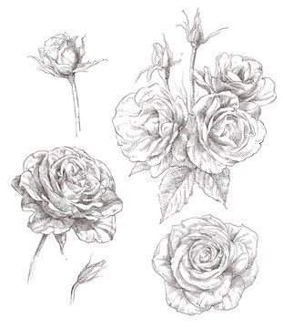 Hand drawn flowers