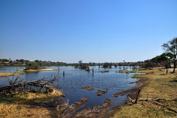 Boteti river
