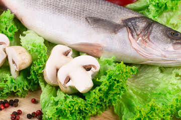 Composition of fresh seabass