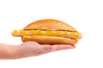 Hotdog with mustard