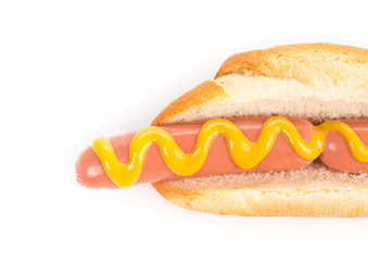 Tasty grilled hotdog