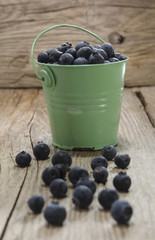 blueberries in a green bucket