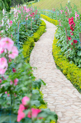 Stone Pathway