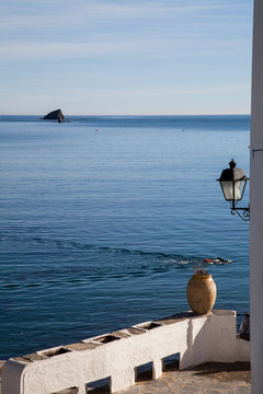 Cucurucu & winter swimmer