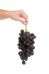 red grape