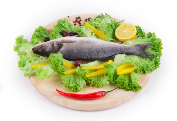 fresh seabass