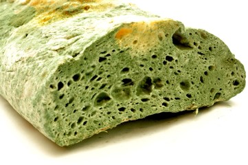 Schimmel auf Brot