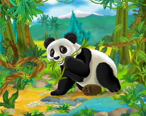 Cartoon scene - wild Asia animals - panda bear - illustration for the children