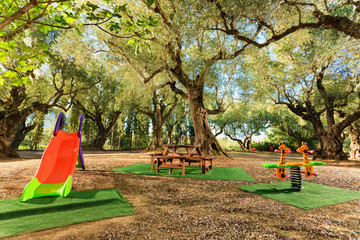 kids playground in a garden